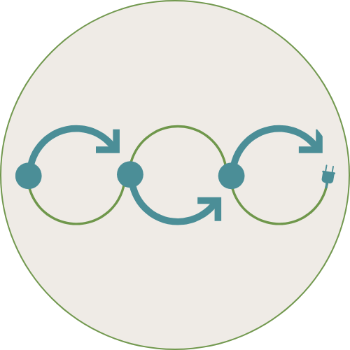 ecoLoRic